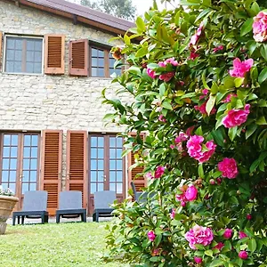 Camelia Tuscany , Pescia Włochy